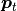 \boldsymbol{p}_t