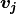\boldsymbol{v_j}