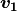 \boldsymbol{v_1}