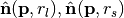 $\hat{\mathbf{n}}(\mathbf{p}, r_l), \hat{\mathbf{n}}(\mathbf{p}, r_s)$